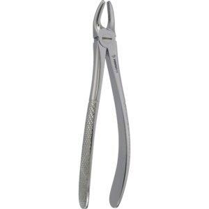 Fig. 7 Upper  premolars