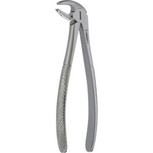 Fig. 13 Lower  premolars