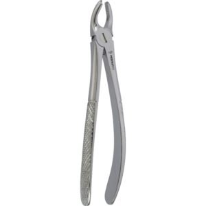 Fig. 17 Upper  Molars Right