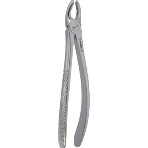 Fig. 18 Upper Molars Left