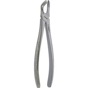 Fig.79 lower third molars