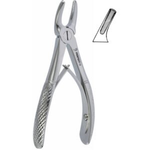 Fig.2 Pedodontic Upper Premolars