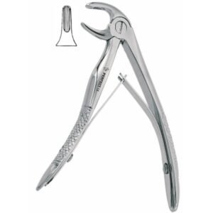 Fig. 7 Pedodontic Lower Molars