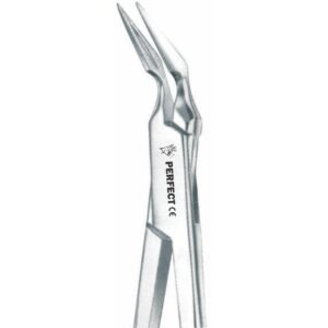 Stieglitz Root Fragments Forceps