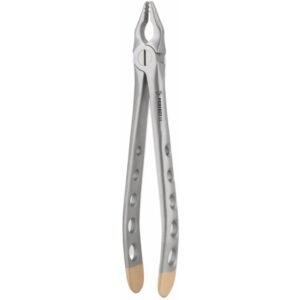 Fig.1 Upper Anterior