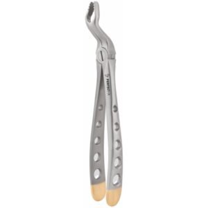 Fig.67 Upper Thrid Molars