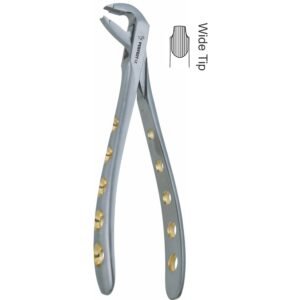 Fig.36A Lower Premolars Deep-Gripping