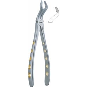 Fig.67 Upper Thrid Molars