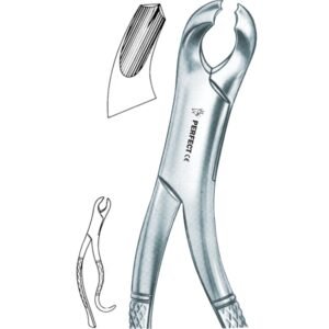 Amircan pattern 15 Harris lower molars