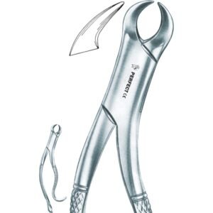 Amircan pattern 16 lower molars