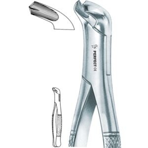 Amircan pattern 17 lower molars