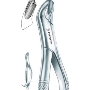 Amircan pattern 18R Harris upper molars, right