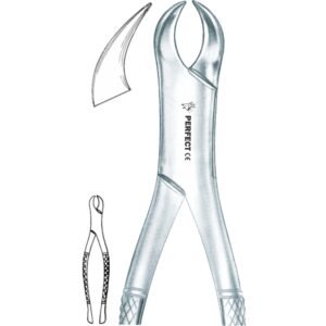 Amircan pattern 23 lower molars