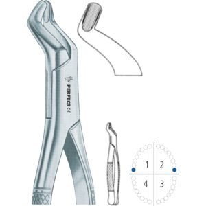 210S upper third molars