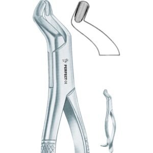 Amircan pattern 210H upper third molars