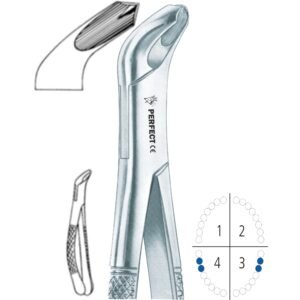 217 lower molars