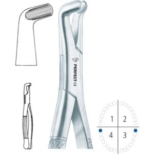 222 lower third molars