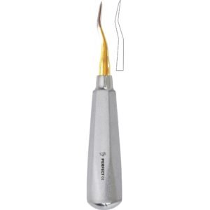 Bein Root Elevator 5CA 3mm