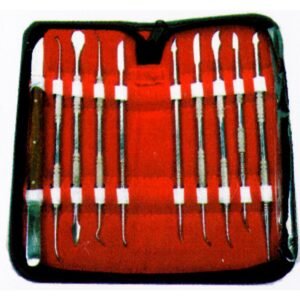 Carvers Set of 10 Pcs